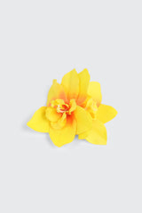 Tropical Flower Hair Clip