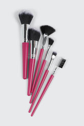 6pc Makeup Brush Set