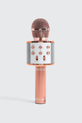 Wireless Microphone Hi-FI Speaker