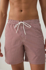 Striped Print Swim Trunks
