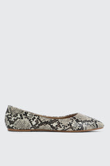 Pointy Toe Flats