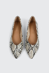Pointy Toe Flats