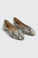 Pointy Toe Flats