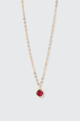 14K Gold-Plated January Birthstone Necklace