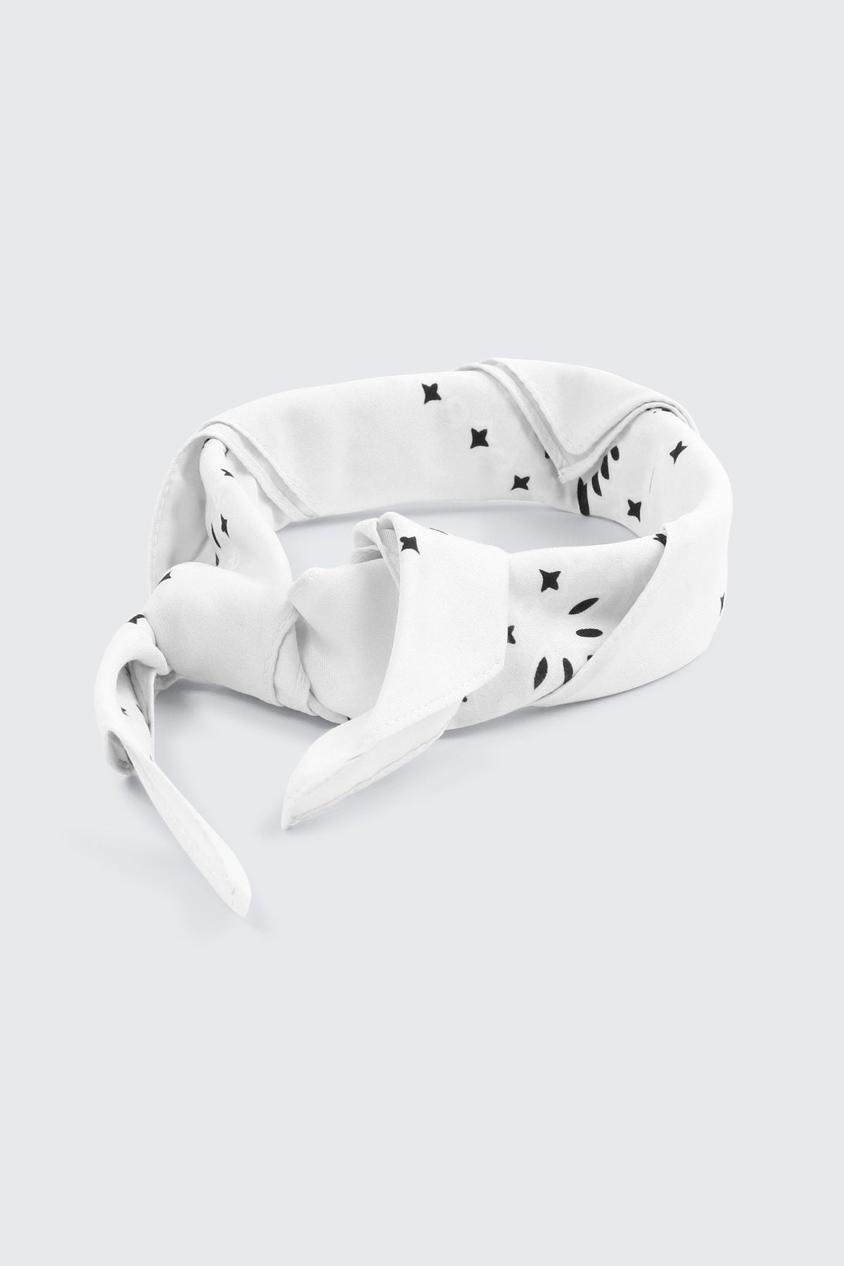 Paisley Bandana