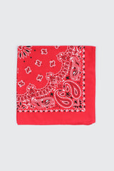 Paisley Bandana