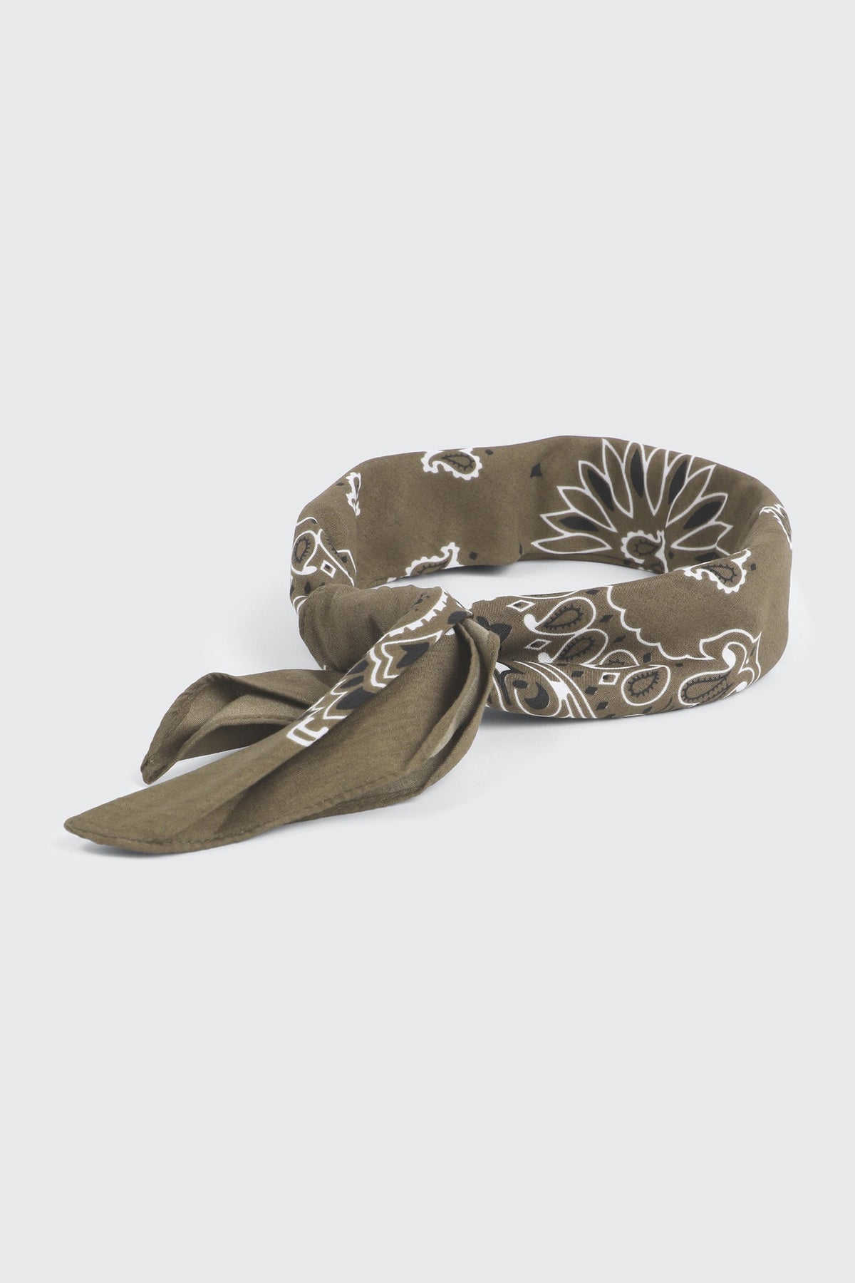 Paisley Bandana