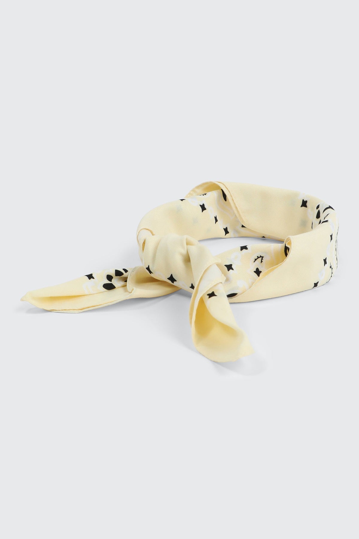 Paisley Bandana