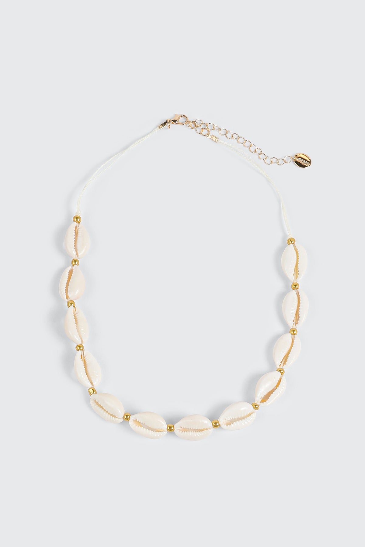 Seashell Necklace