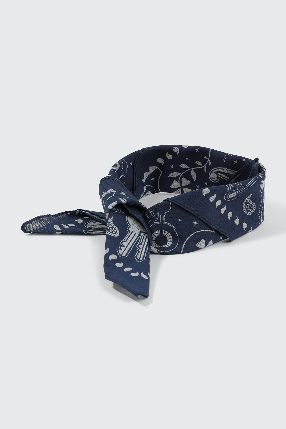 Paisley Print Bandana