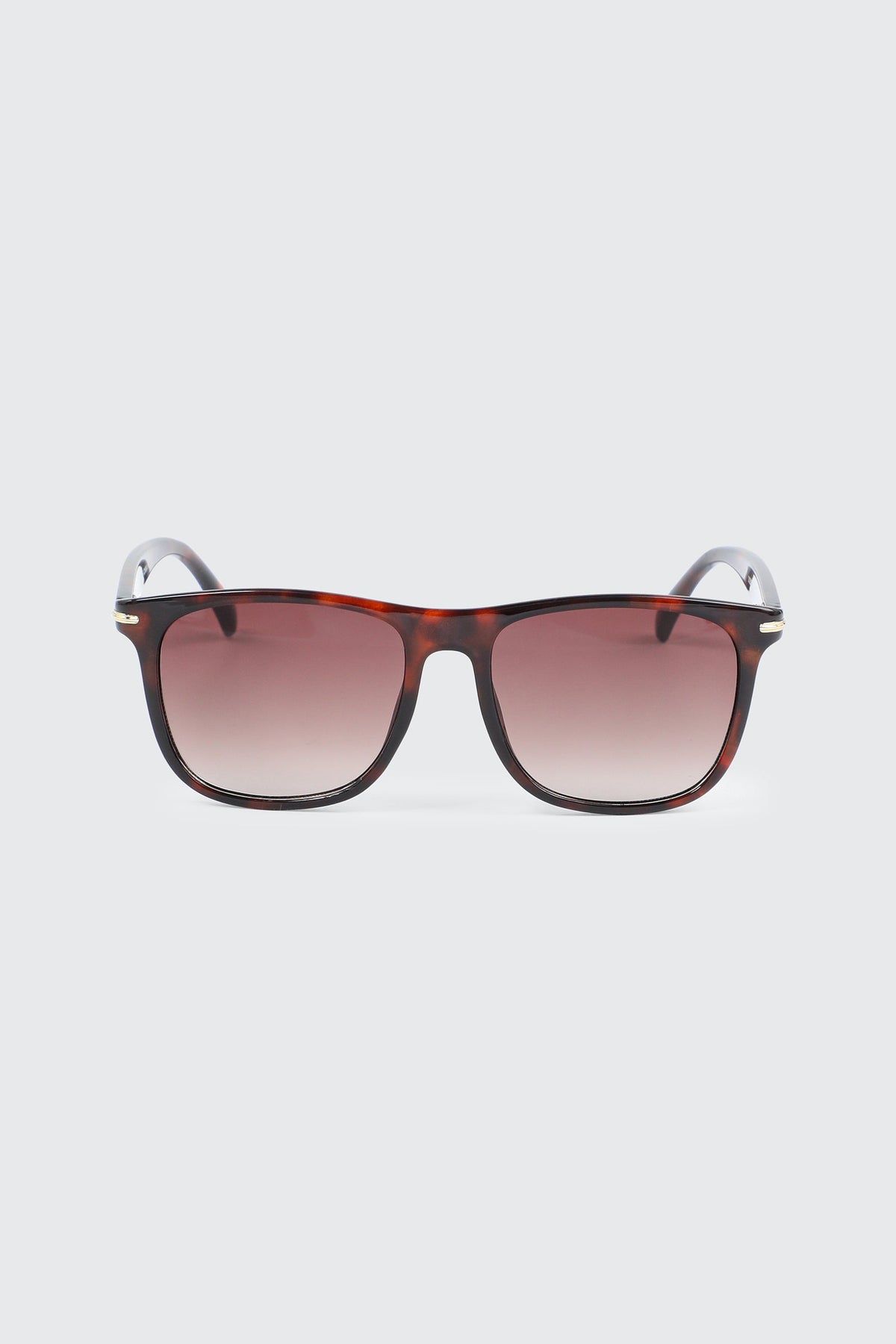 Square Wayfarer Sunglasses