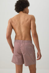 Striped Print Swim Trunks