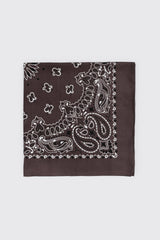 Paisley Bandana