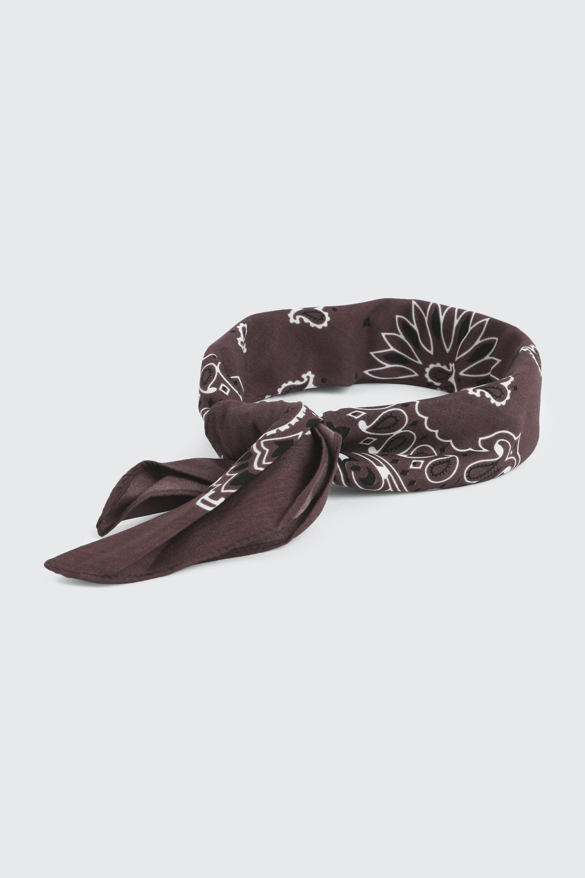 Paisley Bandana