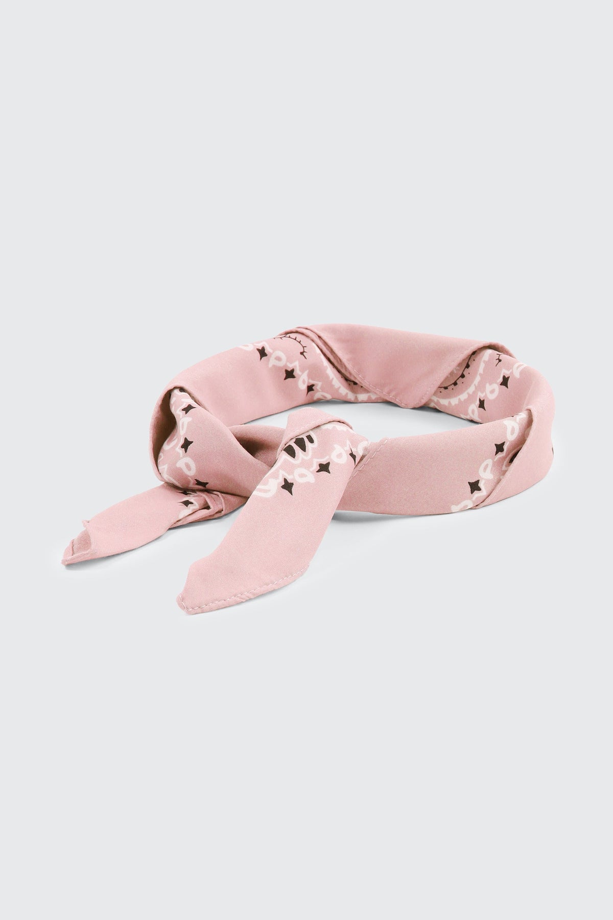 Paisley Bandana