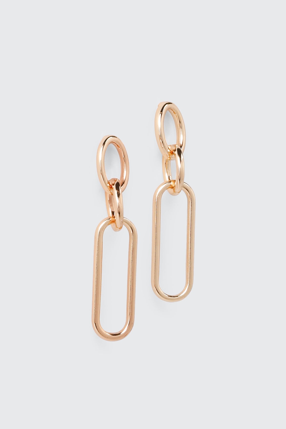 Oval Link Double Loop Earrings